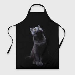 Фартук кулинарный Кот Британец, цвет: 3D-принт