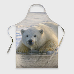 Фартук кулинарный Белый медведь ожидает, цвет: 3D-принт
