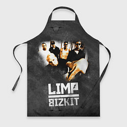 Фартук Limp Bizkit: Rock in to you