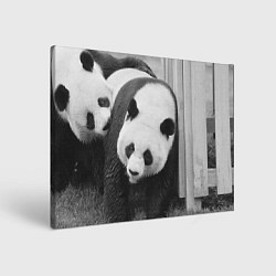 Холст прямоугольный Большая панда, цвет: 3D-принт