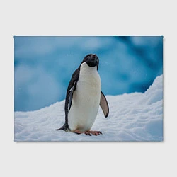 Холст прямоугольный Пингвин на айсберге, цвет: 3D-принт — фото 2
