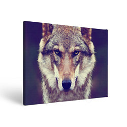 Холст прямоугольный Angry Wolf, цвет: 3D-принт