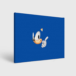 Картина прямоугольная Sonic