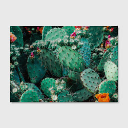 Холст прямоугольный Кактусы с цветами реализм, цвет: 3D-принт — фото 2