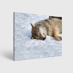 Холст прямоугольный Спящий Волк, цвет: 3D-принт