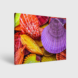 Картина прямоугольная Разноцветные ракушки multicolored seashells