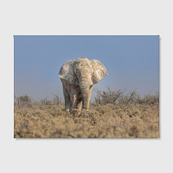 Холст прямоугольный Африканский белый слон, цвет: 3D-принт — фото 2