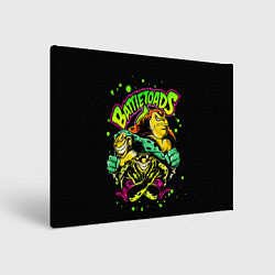 Холст прямоугольный Battletoads Боевые Жабы, цвет: 3D-принт
