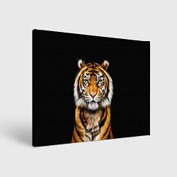Картина прямоугольная Пушистый Тигр Во Тьме Символ 2022 года