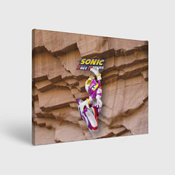 Холст прямоугольный Wave the Swallow - Sonic Free Riders, цвет: 3D-принт