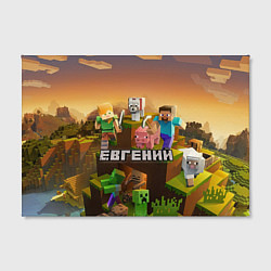 Холст прямоугольный Евгений Minecraft, цвет: 3D-принт — фото 2