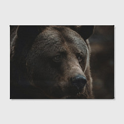 Холст прямоугольный Медведь, цвет: 3D-принт — фото 2