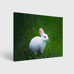 Холст прямоугольный Кролик на фоне травы, цвет: 3D-принт