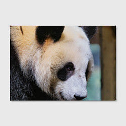 Холст прямоугольный Загадочная панда, цвет: 3D-принт — фото 2