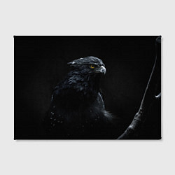 Холст прямоугольный Тёмный орёл, цвет: 3D-принт — фото 2