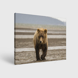 Холст прямоугольный Медвежонок в аэропорту, цвет: 3D-принт