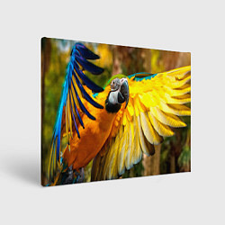 Холст прямоугольный Взлёт попугая, цвет: 3D-принт