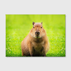 Холст прямоугольный Capybara on green grass, цвет: 3D-принт — фото 2