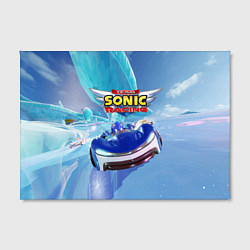 Холст прямоугольный Team Sonic racing - speed, цвет: 3D-принт — фото 2