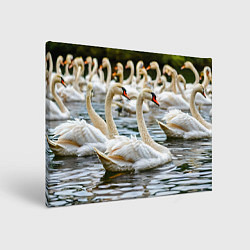 Картина прямоугольная Белые лебеди на пруду