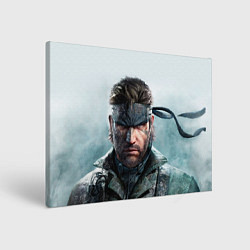 Картина прямоугольная Snake Solid - metal gear