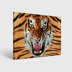 Холст прямоугольный Взгляд тигра, цвет: 3D-принт