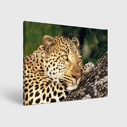 Картина прямоугольная Леопард в лесу