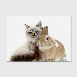 Холст прямоугольный Кот и кролик пушистые, цвет: 3D-принт — фото 2