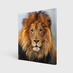 Холст квадратный Красавец лев, цвет: 3D-принт