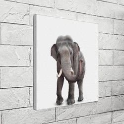 Холст квадратный Большой слон, цвет: 3D-принт — фото 2