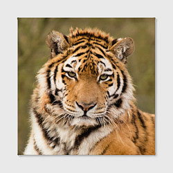Холст квадратный Милый тигр, цвет: 3D-принт — фото 2