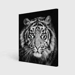 Холст квадратный Мордочка тигра, цвет: 3D-принт