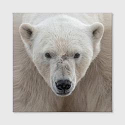Холст квадратный Белый медведь, цвет: 3D-принт — фото 2
