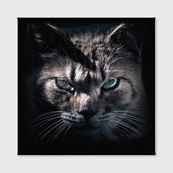 Холст квадратный Котик, цвет: 3D-принт — фото 2