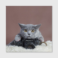 Холст квадратный Котик фотограф, цвет: 3D-принт — фото 2