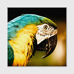 Холст квадратный Улыбка попугая, цвет: 3D-принт — фото 2