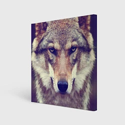 Картина квадратная Angry Wolf
