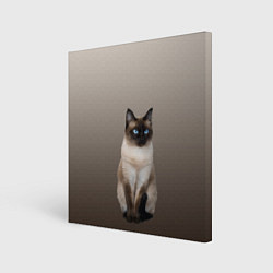 Холст квадратный Сиамский кот голубые глаза, цвет: 3D-принт