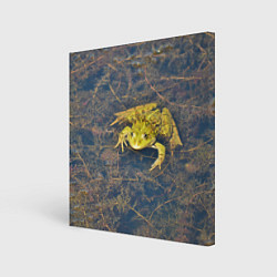 Картина квадратная Лягушка