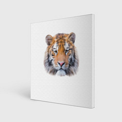 Картина квадратная Тигр рыжий полосатый