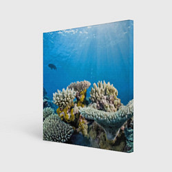 Холст квадратный Кораллы в тропических водах индийского океана, цвет: 3D-принт