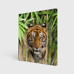Картина квадратная Матёрый тигр в зарослях бамбука