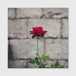Холст квадратный Роза на фоне серой стены, цвет: 3D-принт — фото 2