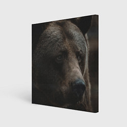 Картина квадратная Медведь