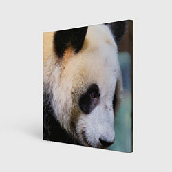 Картина квадратная Загадочная панда
