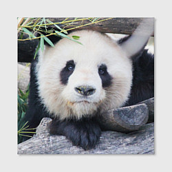Холст квадратный Панда отдыхает, цвет: 3D-принт — фото 2