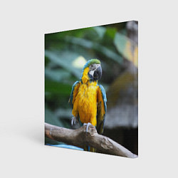 Холст квадратный Красавец попугай, цвет: 3D-принт