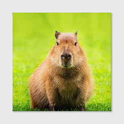 Холст квадратный Capybara on green grass, цвет: 3D-принт — фото 2