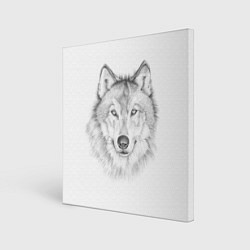 Картина квадратная Нарисованный волк зубами щёлк