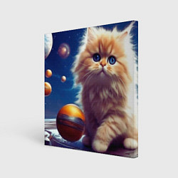 Картина квадратная Котик космос